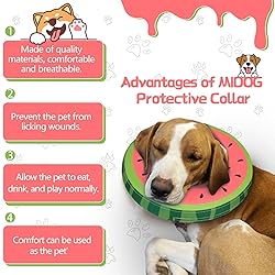 Dog Cone Collar for Small Medium Large Dogs for
