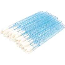 Amazon.com: 300 cepillos de labios desechables para brillo de ...