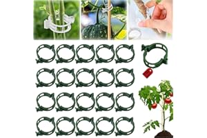 ODDMMO Secured Plastic Plant Clips, 2024 Combinable Plant Support Clips, Plastic Trellis Clips for Climbing Plants, Vine Vegetables Fixing Clips, Plant Clips for Tomato Trellis & Peony Cages (Green, 100pcs)