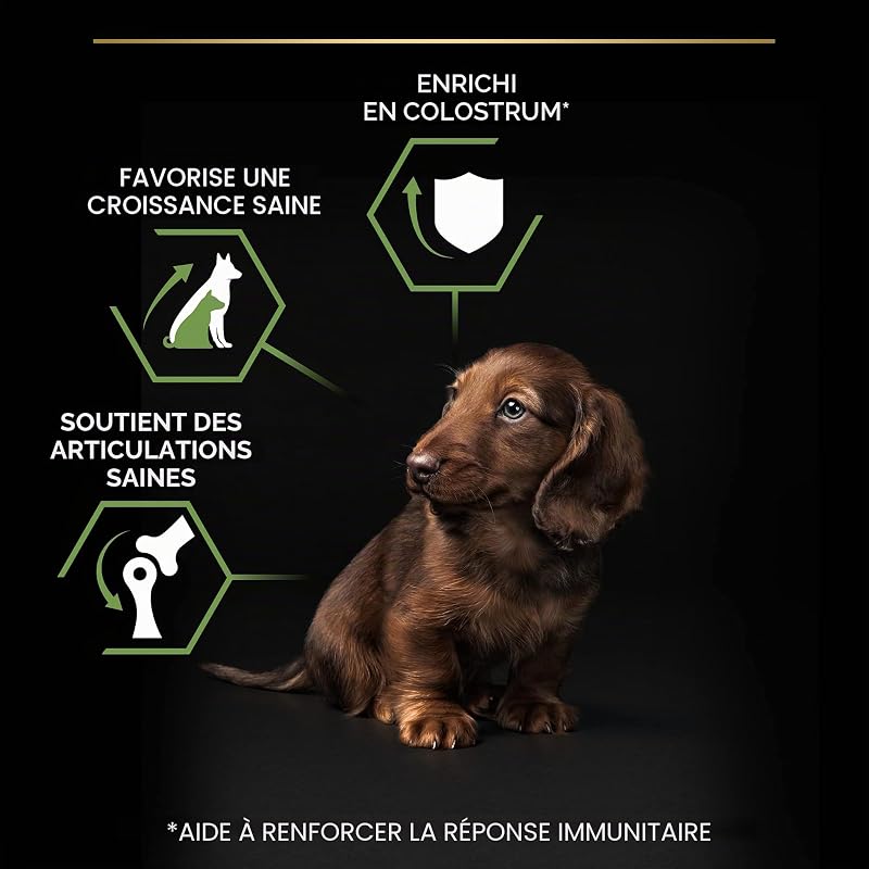 Pro Plan Small&Mini Puppy Start Croquettes pour Chien Chiot avec Colostrum 8 x 700 g