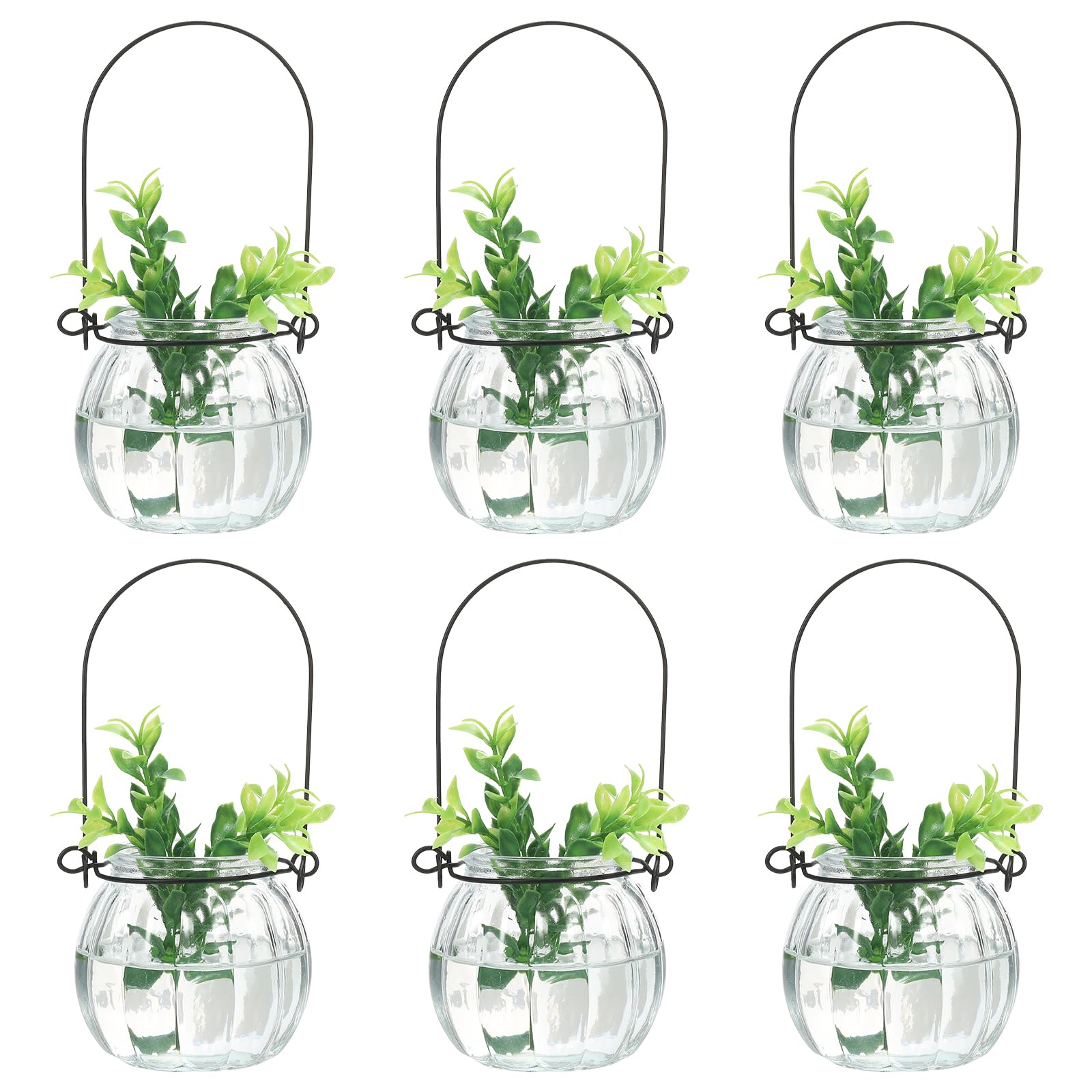 PATIKIL Pumpkin Glass Terrarium Planter 2.4 Inch, 6 Pack Air Plant Wall Hanging Pot DIY Interest Plant for Home Decor Garden Office, Clear