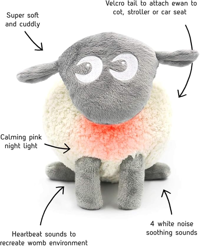 amazon ewan the sheep