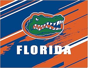 Diamond Painting Kits University Logo for DIY 5D Diamond Art for Home Wall Decor Full Drill and Gift 12'' × 16'' (Florida Gators)