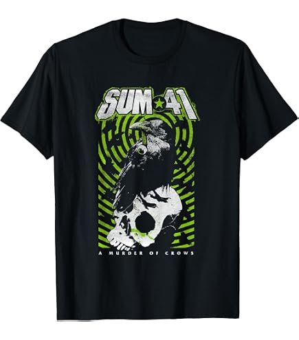 Amazon.com: Sum 41 Order in Decline Skull T-Shirt : Clothing