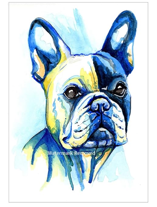 BullDog francés Imán para nevera regalo - toro perro calcetín de ...