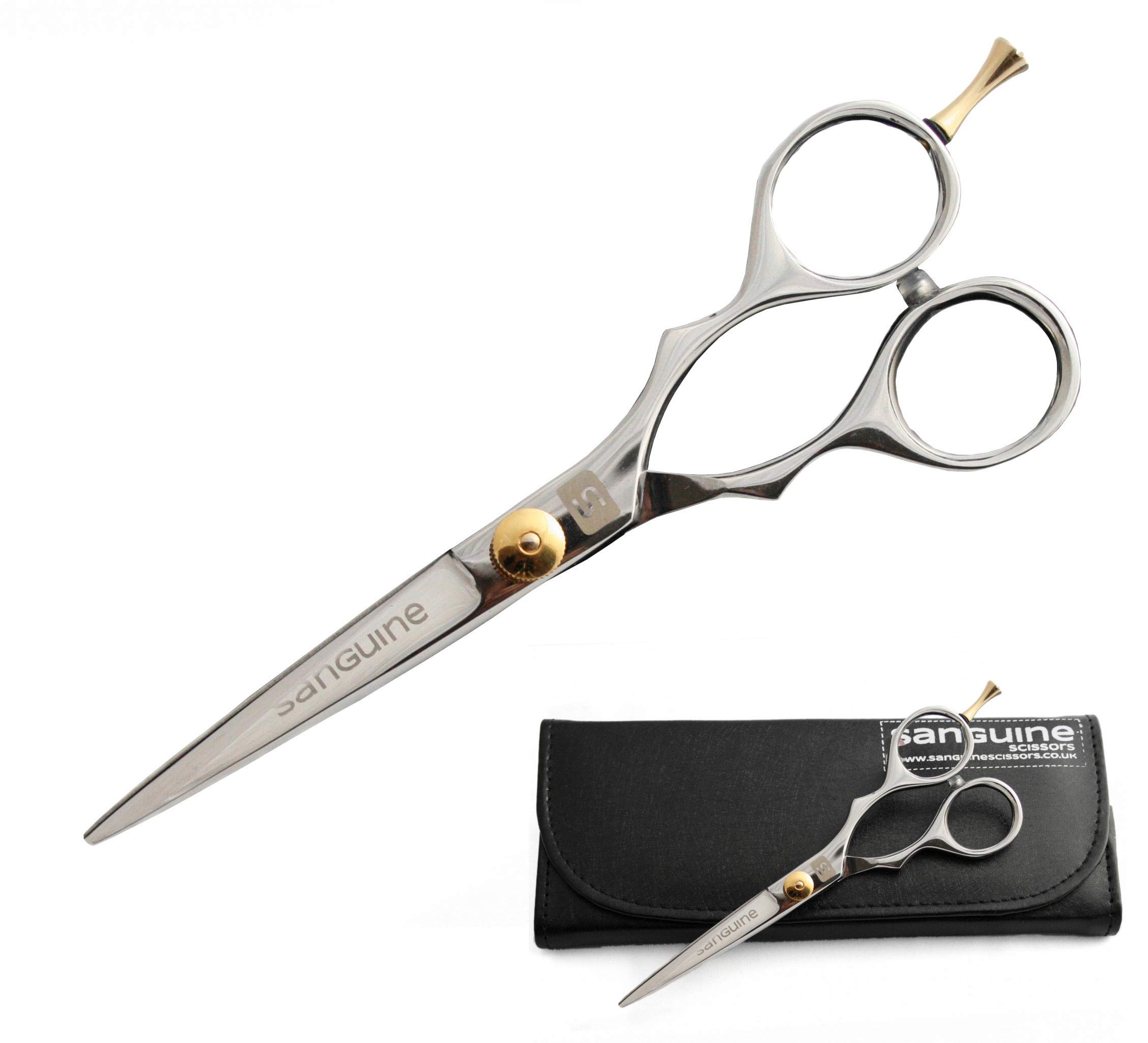 Hairdressing Scissors for All Hair Type Hair Cutting Scissors for Hairdressers, Barbers, Professionals, Personal Use and for Beard or Moustache Trimming + Presentation Case & Tip Protector Chrome