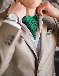 Ailisus Cravat Tie and Lapel Pin Set Mens Paisley