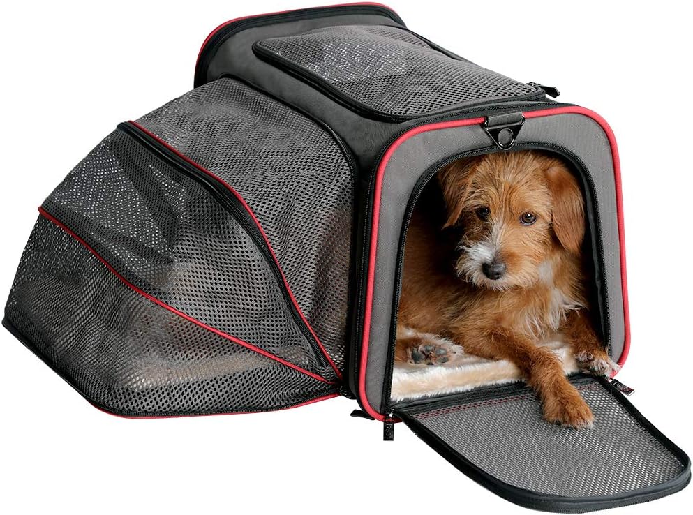 diamond naturals dog food petsmart