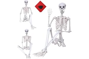 Lodou 5.9Ft/180cm Halloween Skeleton Life Size Skeleton Posable Skeleton Full Size Skeleton with Movable Joints,Realistic Human Pirate Skeleton for Halloween Indoor Outdoor Decorations