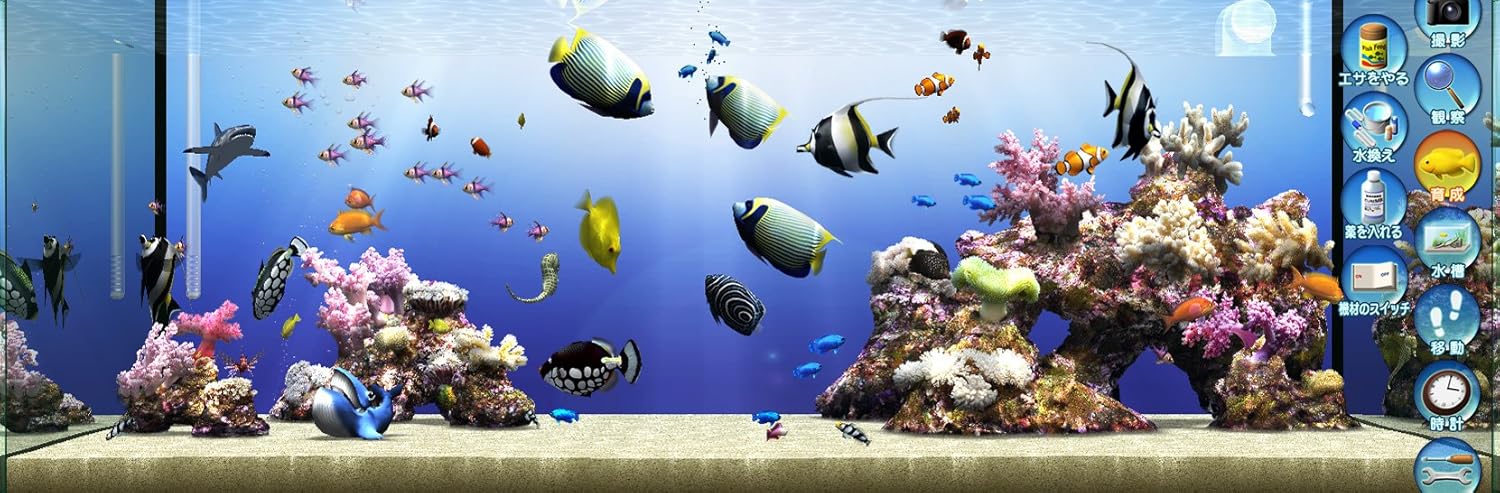 Amazon Co Jp 爆発的1480 シリーズ ベストセレクション マイアクアリウム 海水魚 ソフトウェア Amazon Co Jp 爆発的1480 シリーズ ベストセレクション マイアクアリウム 海水魚 ソフトウェア