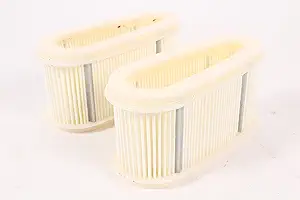 Kawasaki 2 Pack Genuine 11013-2141 Air Filter Element Fit Some FC401V FC420V OEM