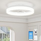 VOLISUN Low Profile Ceiling Fans with Lights and Remote, 19.7in Fandelier Ceiling Fan with Light, 3000K-6500K Dimmable Bladel
