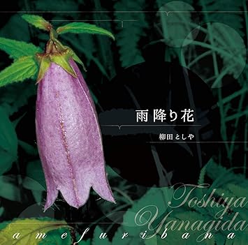 雨降り花 Amazon Co Jp