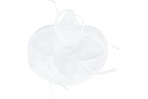 WATAME Fascinators for Women Girls Derby Hats Feather Flower Ribbons Fascinator Headband Wedding Cocktail Tea Party Hats