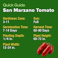 HOME GROWN San Marzano Tomato Seeds – 66