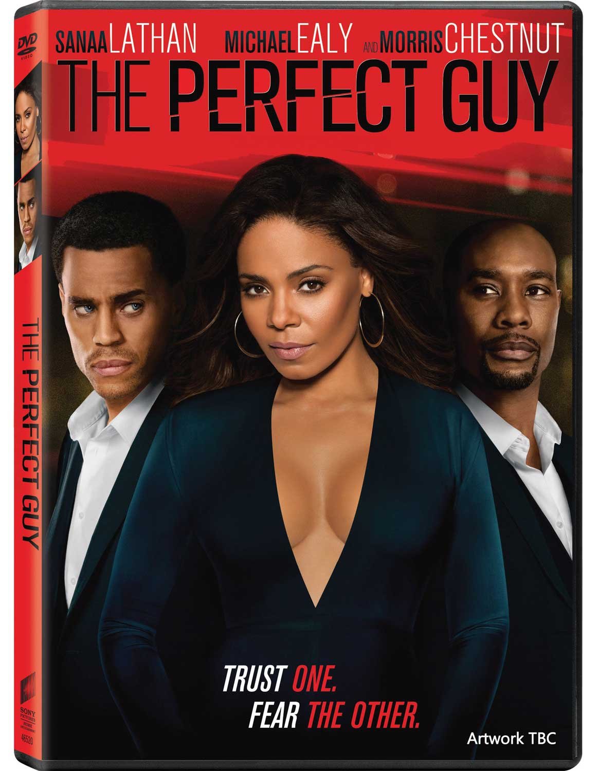 The Perfect Guy [DVD] [2015]