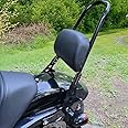 Sresk Motorcycle Detachable Rear Passenger Sissy Bar Upright Backrest W/Cushion Pad for Harley Sportster XL 883 1200 2004-Up with Docking Hardware Latch Clip Easy Install (Gloss Black)
