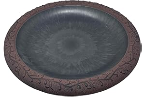 Tierra Garden Birds and Beyond 4-1761T Semi-Gloss Bird Bath Bowl with Red Matte Rim, Black