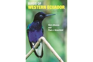 Birds of Western Ecuador: A Photographic Guide