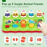 Hahaland Pop Up Montessori Toy with Hammers for 12 Months+ Boys & Girls view 2