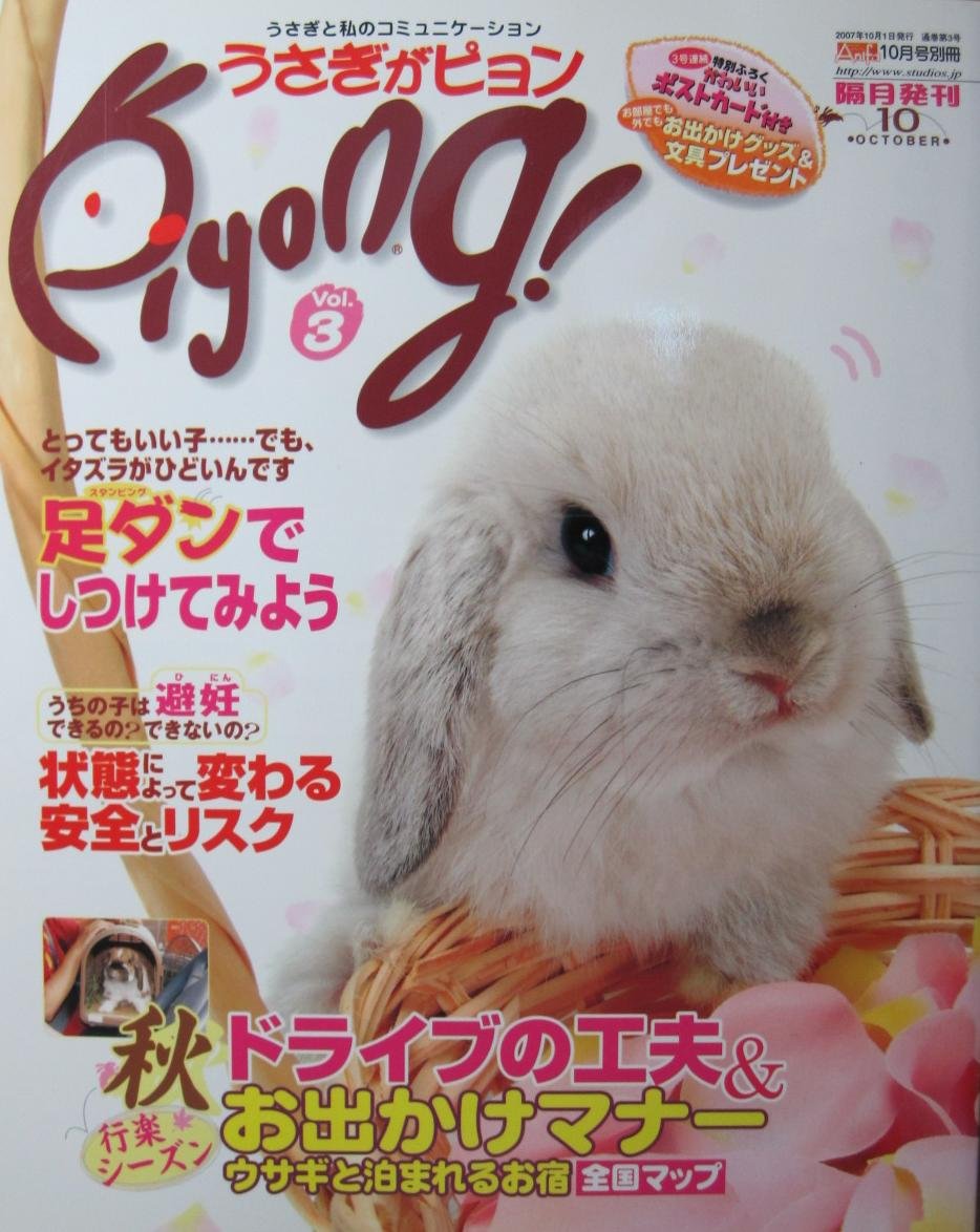 うさぎがピョン 07年10月号 Vol 3 スタジオ エス 本 通販 Amazon