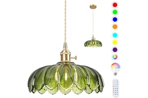 Loiogohot Battery Operated Pendant Light,Vintage Light Fixtures RGB Rechargeable Light Bulb 2500mAh 9.8in with Remote Control Wireless Adjustable Chandelier for Kitchen Island Hallway 1 Light