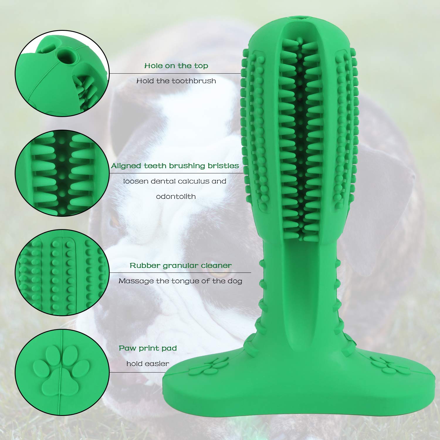 Ezio Dog Toothbrush Chew Toy - Nontoxic Natural Rubber Toothbrush Stick Teeth Cleaning Dental Care Brushing for Small and Medium Doggy (Green)