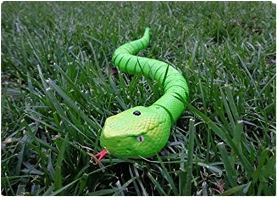 remote control snake amazon