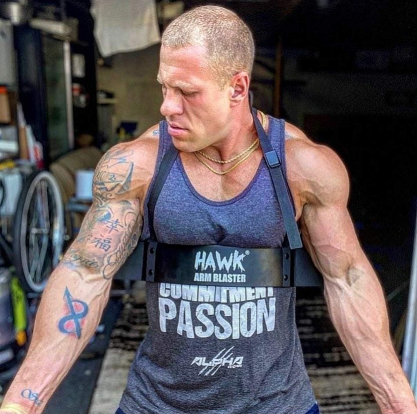 Hawk Sports Arm Blaster for Biceps & Triceps Dumbbells & Barbells Curls Muscle Builder Bicep Isolator for Bodybuilding & Weight Lifting Support for Strength & Muscle Gains (Black) : Sports & Outdoors