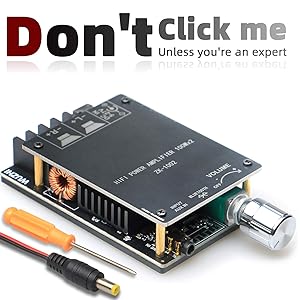 200W Bluetooth Amplifier Board TPA3116,DAMGOO 100W+100W Audio Amp Board with LC Filter Technique,Dual Channel DC8-24V,Password Free Connect to Phone Quietly