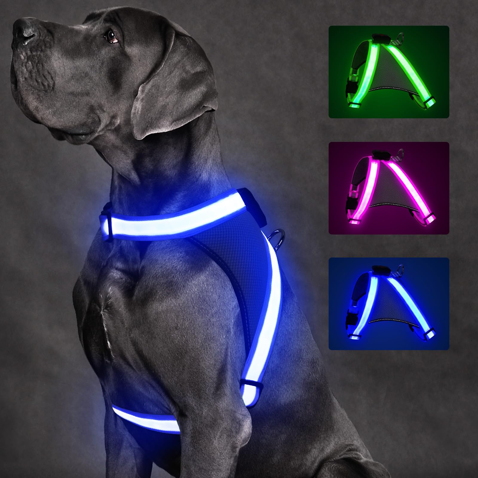Photo 1 of ChalkLit Light Up Dog Harness, No Pull Led Dog Harness Glow-in-The-Dark for Night Walking, USB Rechargeable Lighted Safety Vest for Medium Large Dogs, Adjustable Soft Mesh Fully Illuminated (Blue, L)