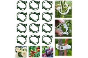 KOUJUT 100Pcs 2025 Upgraded Plant Clip Secured Plastic Plant Clip for Climbing Plants, Plant Support Clips Tomato Clip for Climbing Plants Clips for Tomato Grape Vine Vegetables Plant Clips (100, Green)