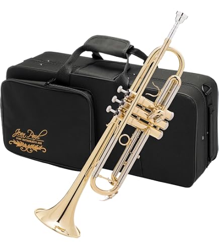 Amazon.com: Vincent Bach LT18072G Bach Trumpet Oft : Musical