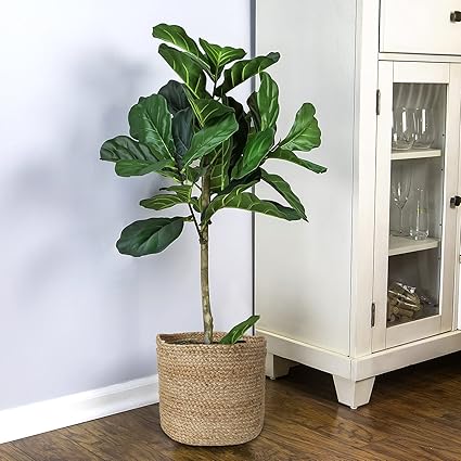 HomeStorie 12 Inch Jute Planter Basket Large for Garden, Home D