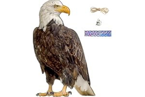 12x8in Bird Repellent Devices Outdoor Realistic Hanging Hawk Decoy with Bell & Reflective Ribbon Feral Eagle for Trees Plants
