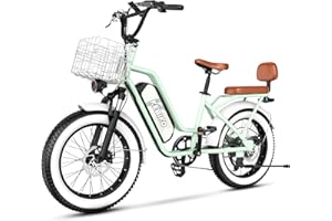 BLUEBIKO 2 Seater Electric Bike, 48V 20AH(960WH)Large Removable Battery, 80+Miles Max,30+MPH, 1000W Peak (750W) Motor Ebike, 20"x 4.0" Fat Tire Electric Bike For Adults, City Couple E bike,With Folding Basket
