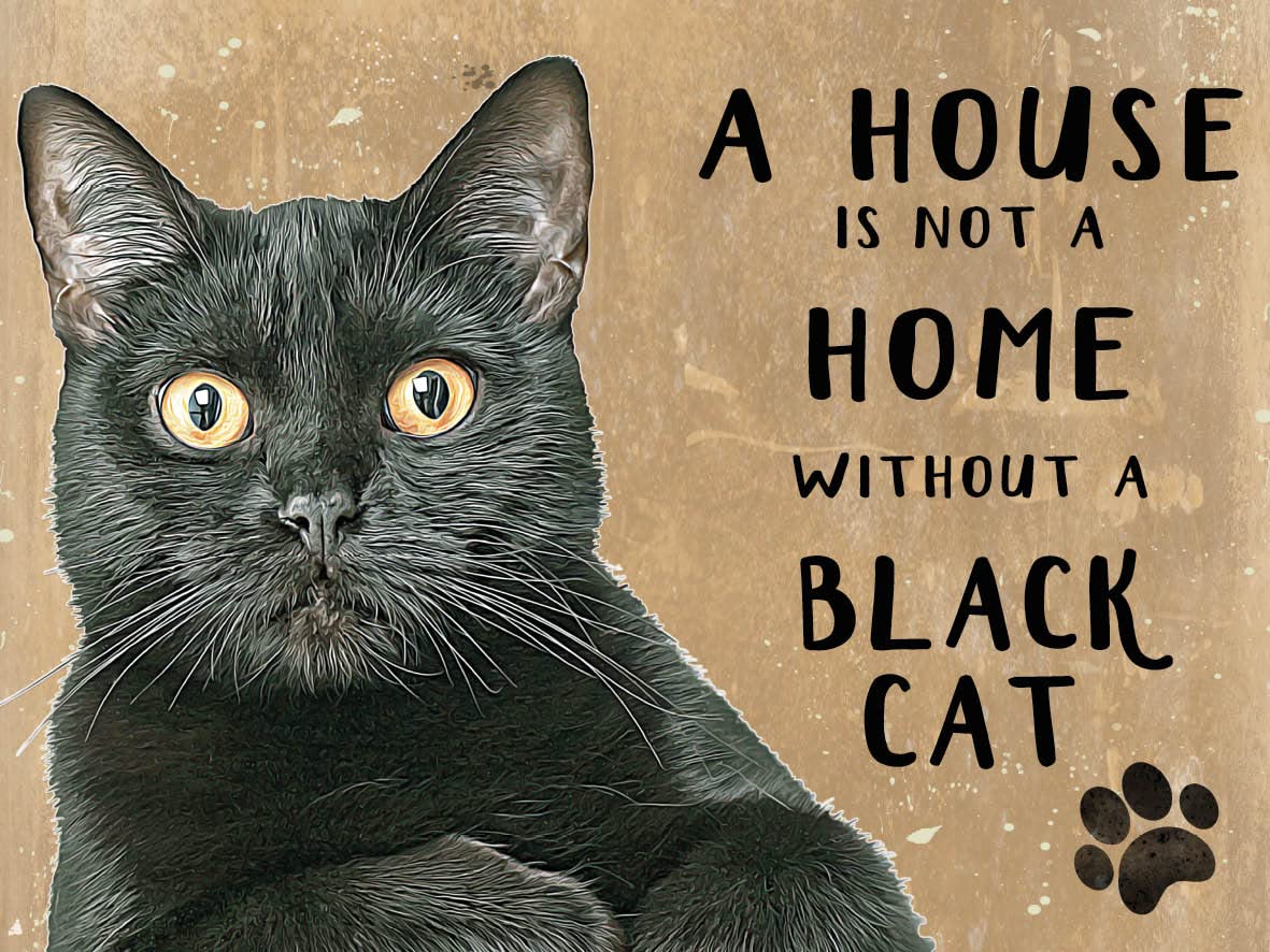 Small (150 x 200mm) Metal Sign - A House is Not a Home - Black Cat