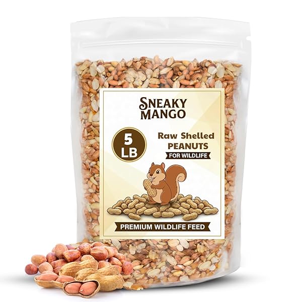 SNEAKY MANGO RAW OUT OF SHELL PEANUTS –...