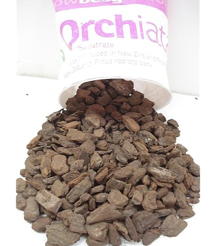 Amazon.com : Orchiata New Zealand Pinus Radiata Bark - Ex Large