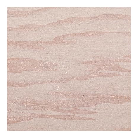 Casablanca Fan Co B501 Badge Style Blades 21 Ceiling Fan