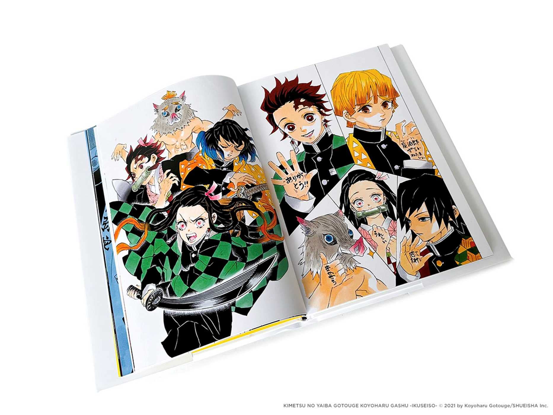 Art of Demon Slayer: Kimetsu no Yaiba