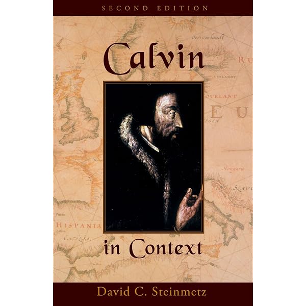洋書  in Context by David Steinmetz Luther in Context: Steinmetz, David C.: 9780801026096: Amazon.com