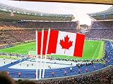 BigTree 50 Mini Canadian Flags on Sticks for Party & Events view 5