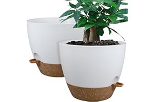 UOUZ 12inch 2Pack Large Self Watering Planters, Plastic Plant Pots with 60oZ Removable Deep Reservoir and Multi Mesh Drainage Holes for Indoor Outdoor Garden Plants and Flowers, White with Brown