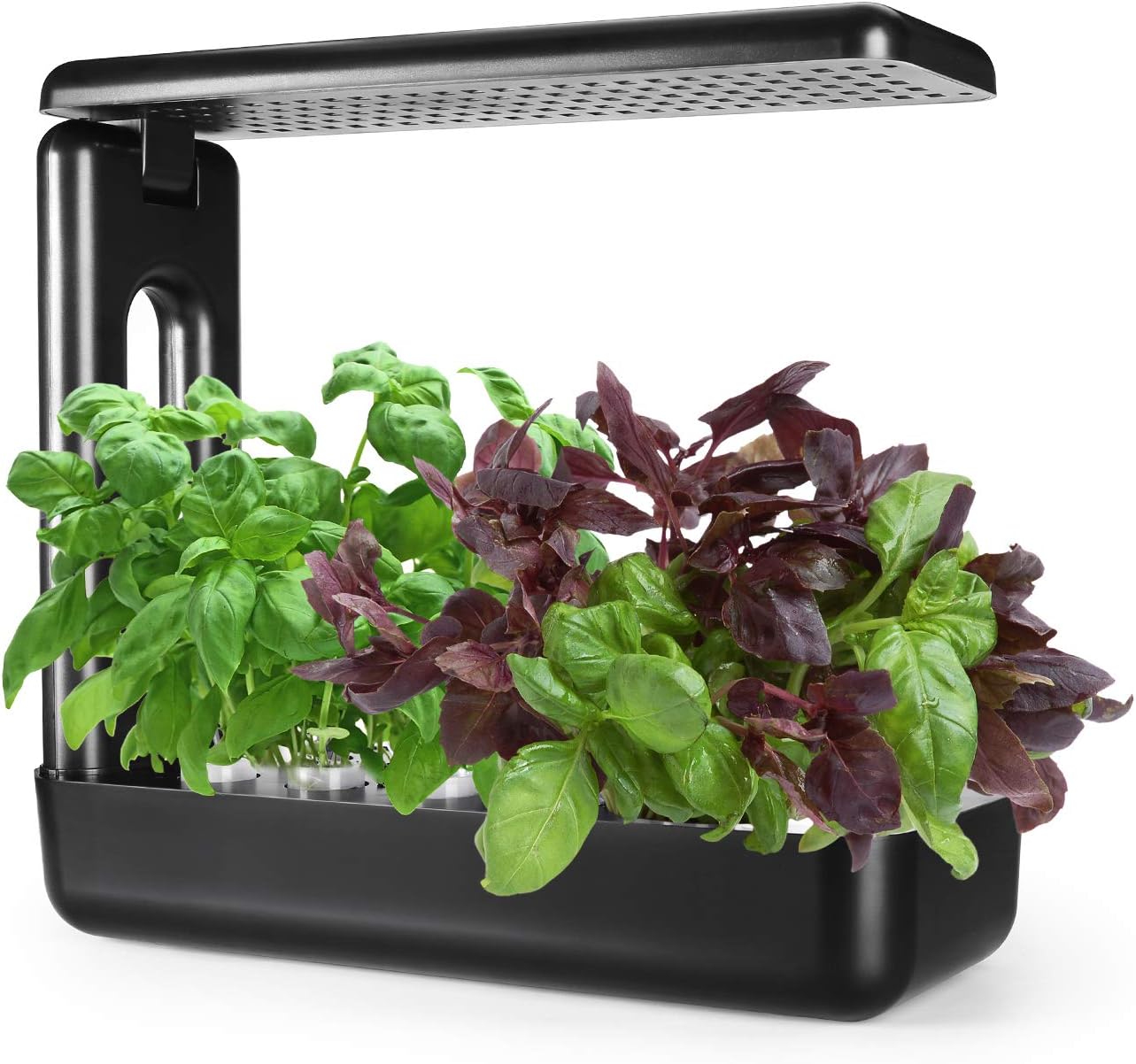 VegeBox Smart LED Hydroponics Growing System, Indoor LED Lighting Herb