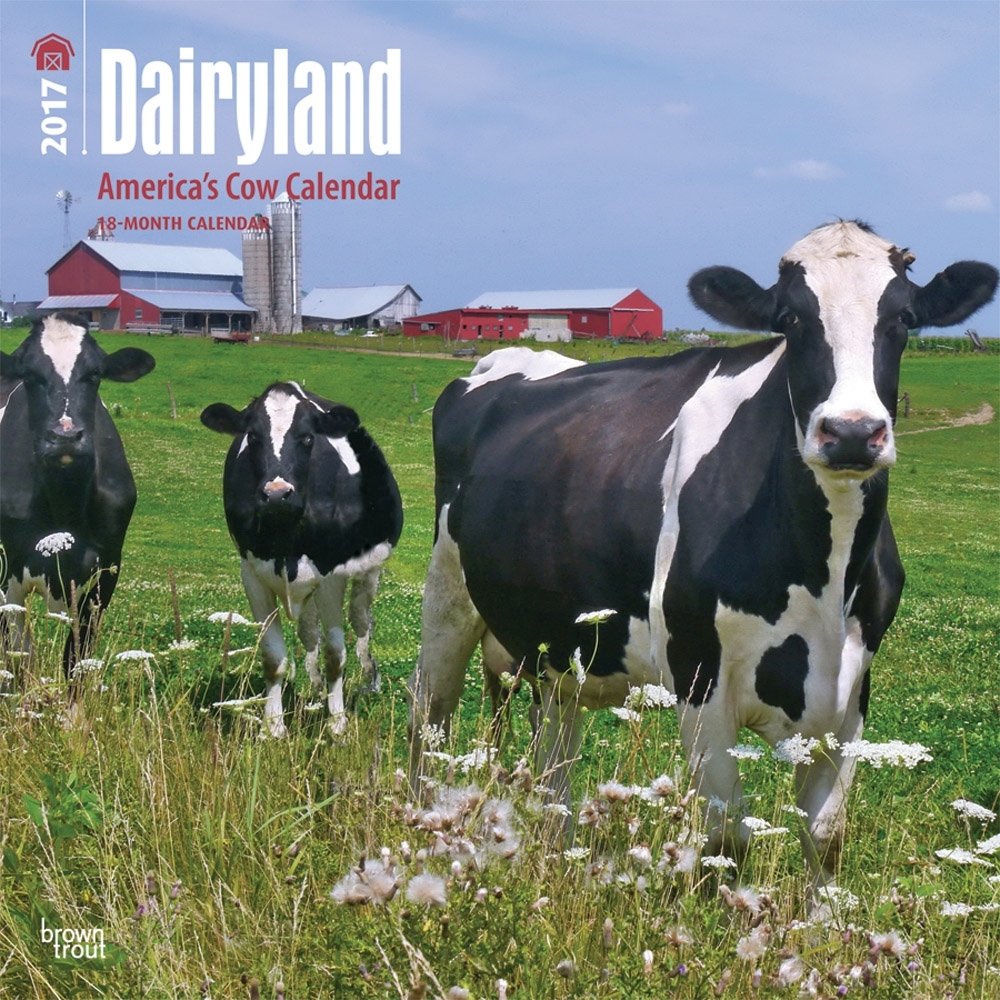 Dairyland America’s Cow Calendar 2017 Calendar
