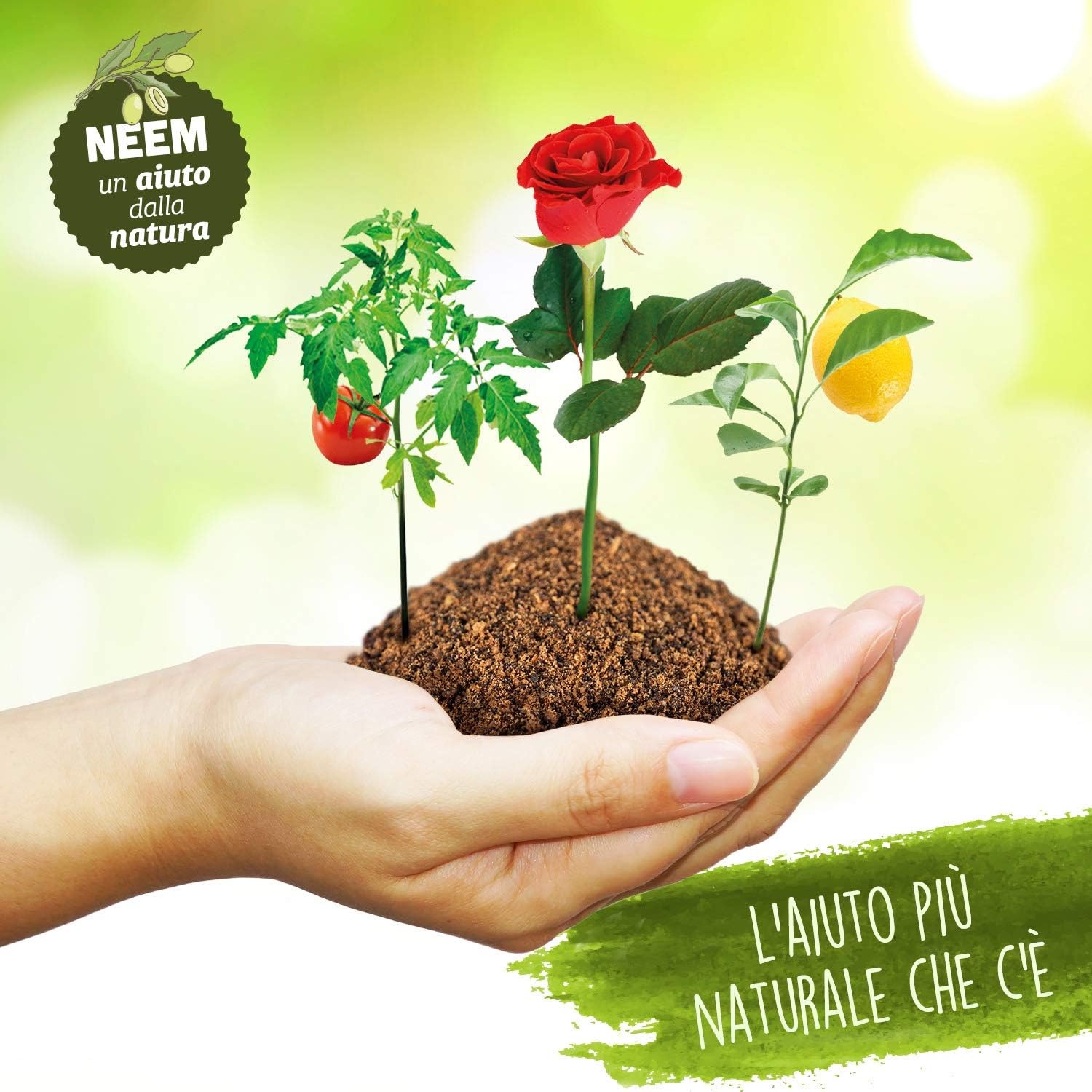Neem Oil Expert Tips, No information - Image 3