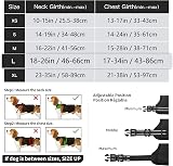 HEELE No Pull Dog Harness Large Reflective Adjustable Front Back Leash view 5