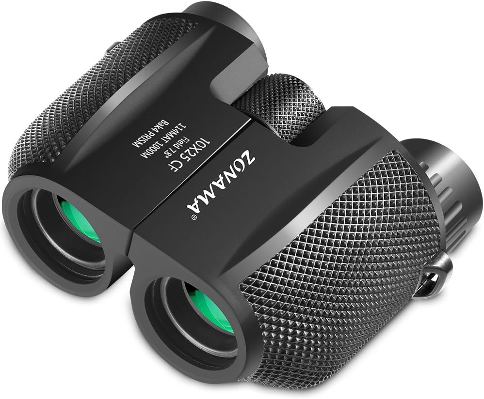 Binoculars for Adults, Compact Telescope High Power Binocular 10x25 Large Eyepiece Waterproof Lightweight Binoculars for Bird Watching, Hiking, Outdoor Hunting, Travelling, Safari, Also Fit for Kids
