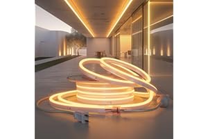 HRGXYUN LED Neon Rope Light, 32.8ft Dimmable Commercial Neon Strip Light Outdoor Waterproof,ETL Listed Warm White LED Rope Lights for Supermarket,High Building, Celebration,110V